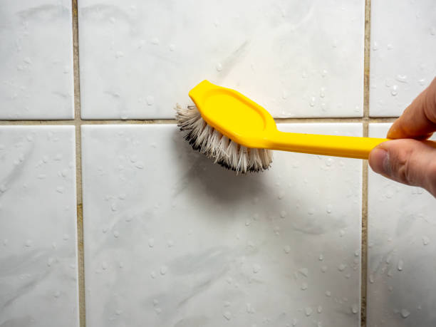 Best Emergency Mold Remediation in Vineland, NJ